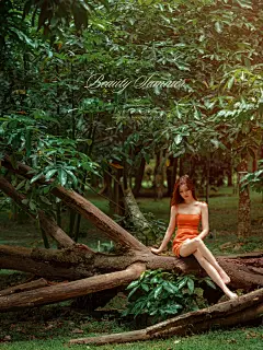 版纳|中科院植物园，电影海报般的梦幻机位