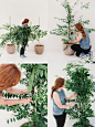 DIY花卉 打造浪漫花园式婚礼+来自：婚礼时光——关注婚礼的一切，分享最美好的时光。#DIY#