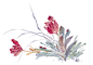 花卉 (1280)