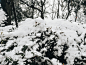 2018年1月—杭州雪景