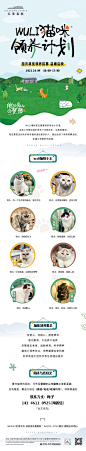 0929猫咪领养计划海报-01