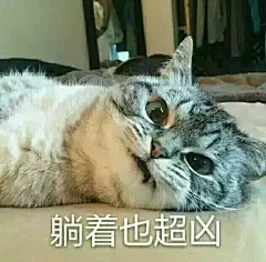 165#表情包# #搞笑# #创意##手机# #唯美# #内涵# #动漫# #重口味#