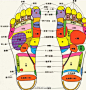 《贴黄豆增高神贴，n多妹纸开始实践中(图文版)》很多粉丝私信我希望我整理一些增高的帖子给大家，找了蛮多帖看，觉得这篇算是比较具有可操作性且也是广受热议的，现在已经有很多人将楼主的方法付诸行动了。本博把原帖内容整理了一下并附上了相应的穴位配图，如果你也渴望再长高一点那一定要马了看下！