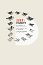Design : / Darwin's Finches by Kathleen Donohue