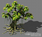【新提醒】写实古树3D模型下载 带贴图 有树叶-植物模型区 - 游美网