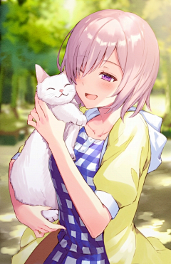 F艾瑞利亚采集到ly