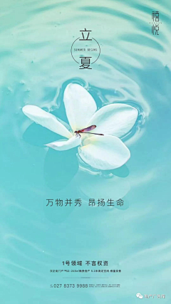 花尤野采集到收集节气海报