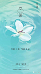 立夏