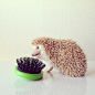 The Cutest Little Hedgehog in the World – Fubiz™