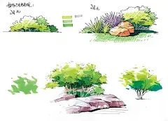 #城市速写者# (园林景观马克笔手绘)
园林景观马克笔手绘案例，从笔触、色系搭配、画面层次等多方面学习训练。