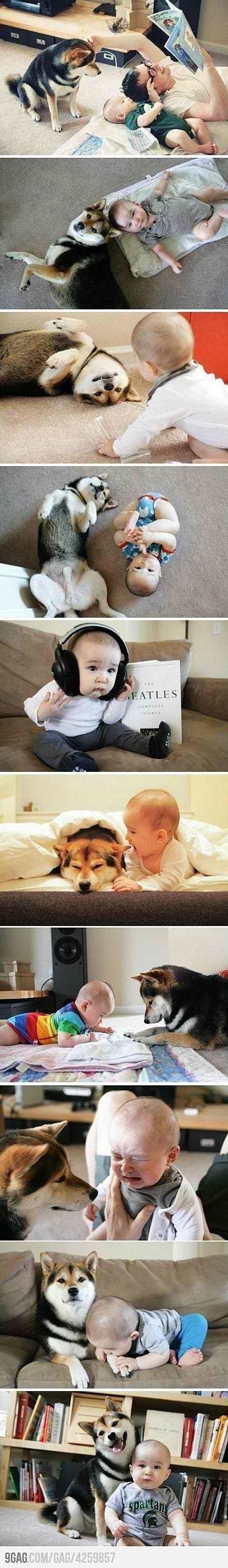 This is why dogs are...