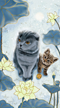 月光想念-猫咪_云享六六__插画师作品_涂鸦王国gracg.com