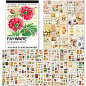 Amazon.com: FAYWARE Washi Vintage Stickers for Scrapbooking - Ephemera Sticker Book for Journaling with 453 Botanical Stickers and 20 Scrapbook Papers. Ephemera for Junk Journals, Journaling Supplies for Adults : Arts, Crafts & Sewing