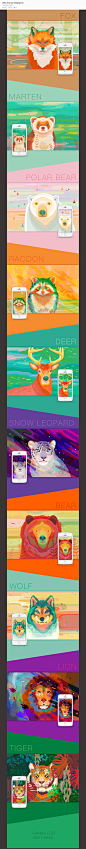 Wild Animal Wallpapers on Behance