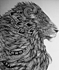 Randomness. : lion