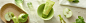 9202_top.jpg (2000×540)