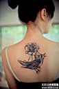美女后背玫瑰鸟素描纹身图案