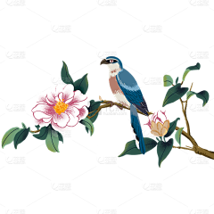 大聪明7采集到花鸟