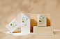 package design  tea Tea Package 包裝設計 茶包裝 茶盒