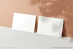 名片样机