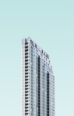 野生动物～采集到摄影-城市