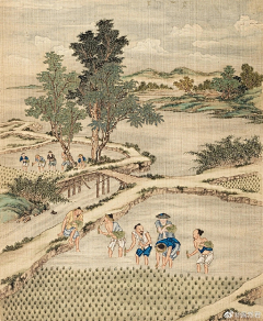 青青绿草间采集到古代-知识