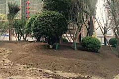 昵称叫做小阳光采集到【规范】施工工艺