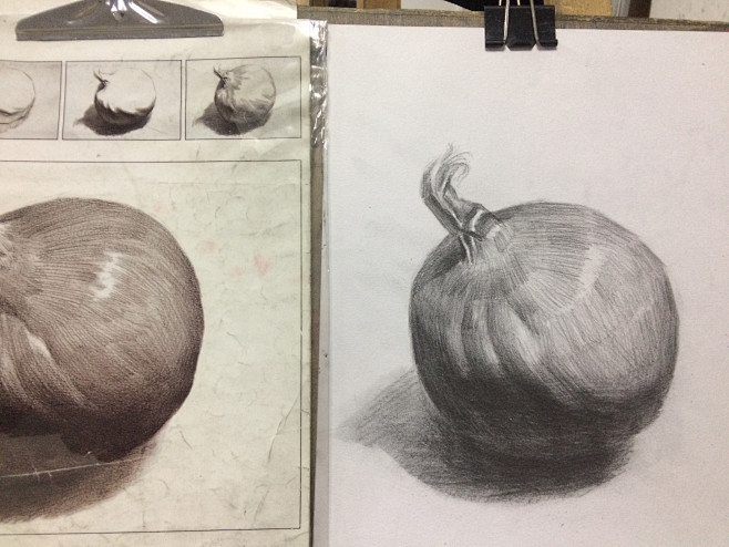 洋葱素描