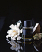 http://www.cindydiprima.com/ Perfume still life photography