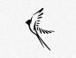“Swallow logo”的图片搜索结果