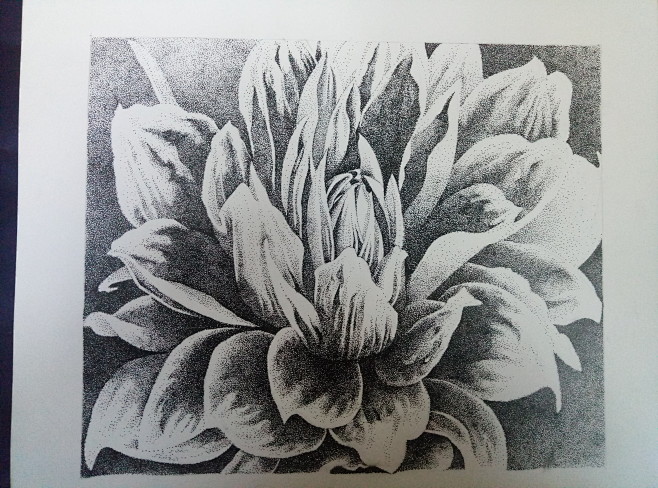 点绘点构成黑白花黑白画