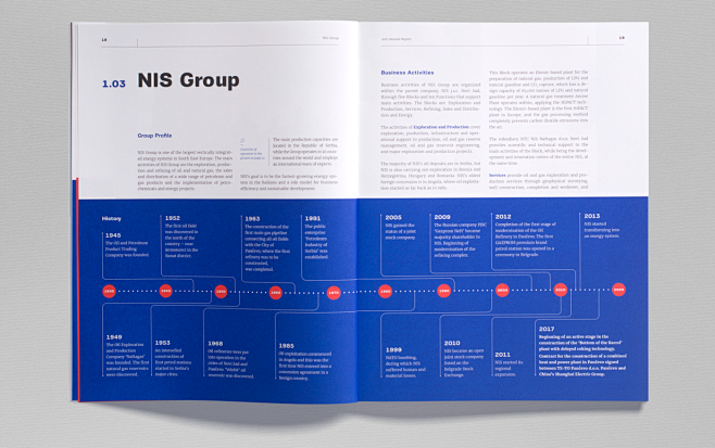 NIS Annual Report 20...