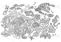 海底世界：珊瑚、海葵、贝壳、鱼、蟹、海龟、水晶、海马。环境，自然，生态，海洋。手绘插图。彩色书页，明