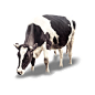 aef351124c8d13671acdf5d20ba222f8