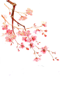 4a3fbccd0b05ab8fe8b97d675252e815de4884704d9cc-pieA6R_fw658webp