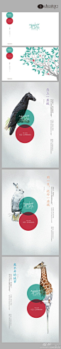 中性色，怪僻动物组合，楼书风情新势 | 视觉中国