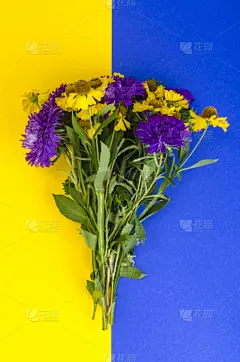 背景,花束,明亮,菜园,贺卡,清新,浪漫,植物,夏天,园艺