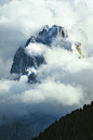A mountain covered in clouds and trees