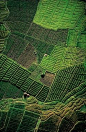 land's quilt