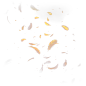 Colored Feather Overlay_Walllow_01