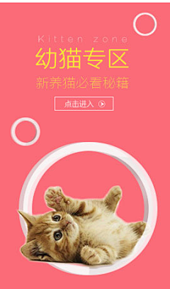 总会有温柔扑空采集到宠物用品详情页