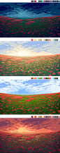 poppy_field_all(391B4)