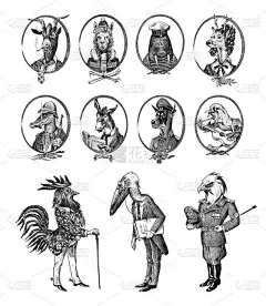动物的角色设置。秃头鹰，公鸡，鹤，海象，鳄鱼，山羊，山羊，驴子，羊驼，美洲驼。手绘肖像雕刻单色草图，