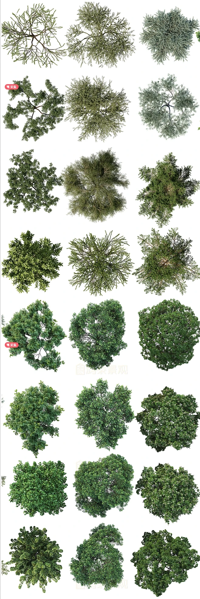 PS真实树植物平面图psd素材大乔木平面树ps素材石材质铺装psd素材-花瓣网
