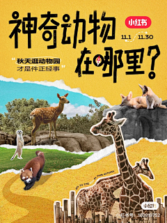 疯兔子的回眸采集到小红书