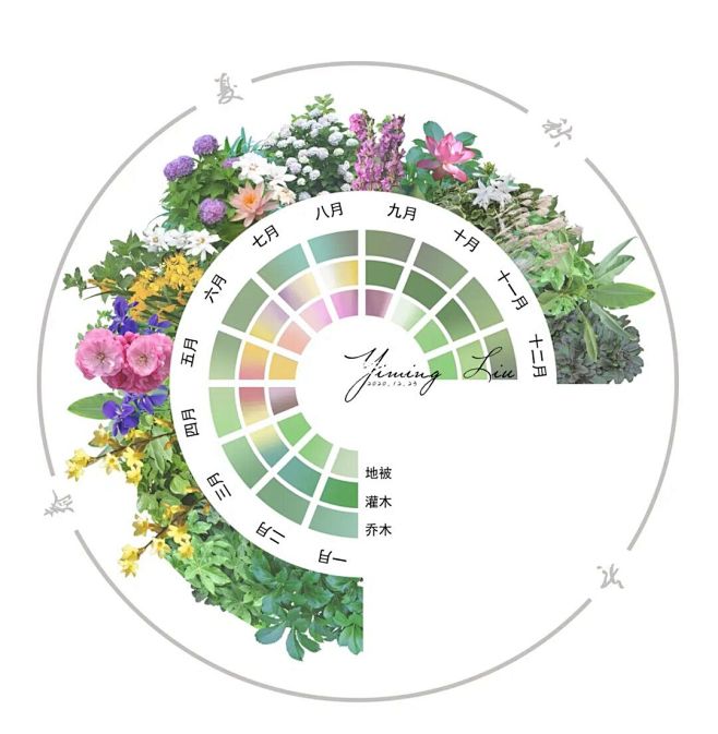 Design｜植物配置、季相分析图 : 某南方公园内三处景观节点的植物季相分析 前期： 前期分析、物种选择、检索花期花色、素材积累。 分析表现