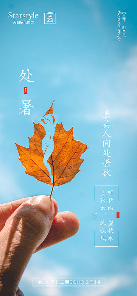 医美处暑节气海报