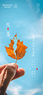 医美处暑节气海报