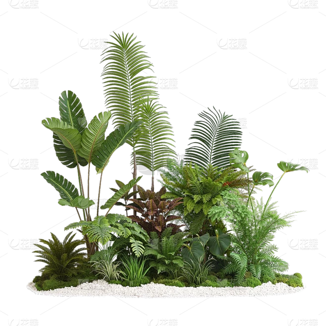 植物系列写实风植物草丛元素素材-花瓣网