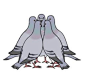 Cute Pigeon sticker #530083